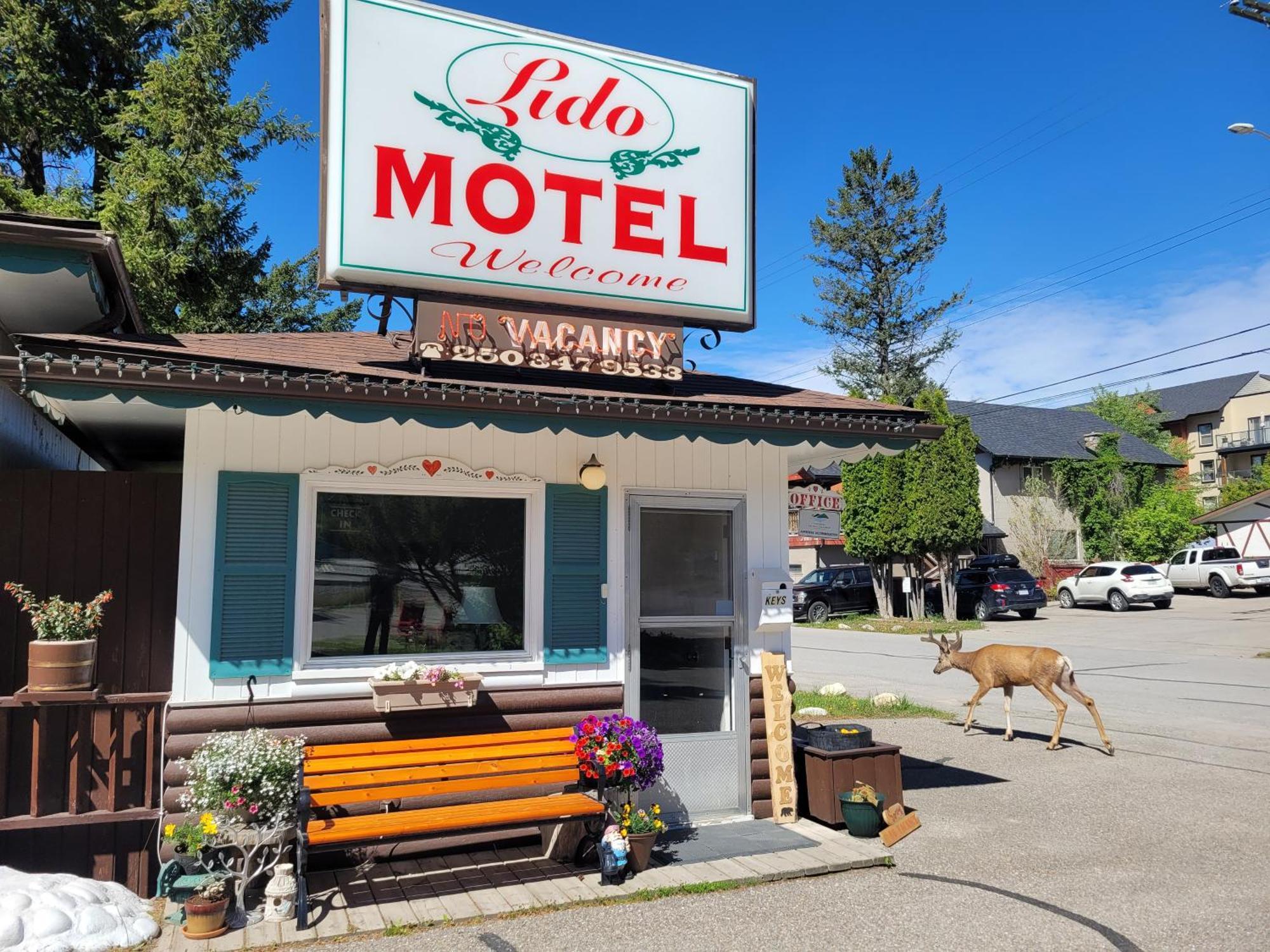 Lido Motel Radium Hot Springs Ngoại thất bức ảnh